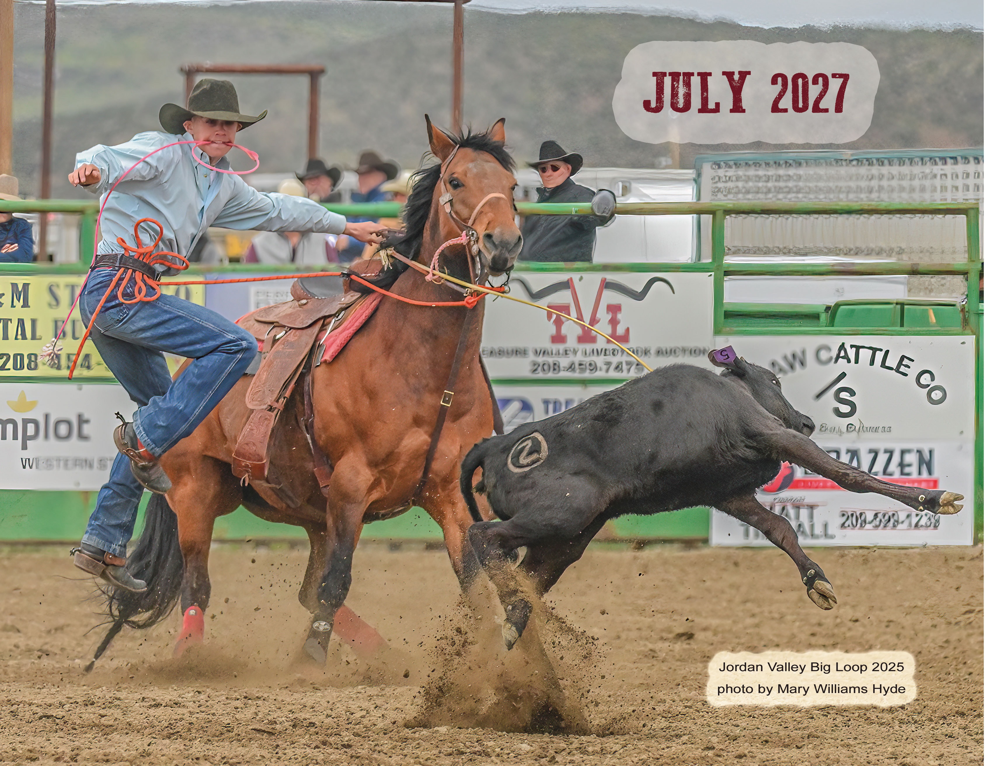 July 2027 – cowboy roping steer from horseback, Jordan Valley Big Loop 2025, photo by Mary Williams Hyde