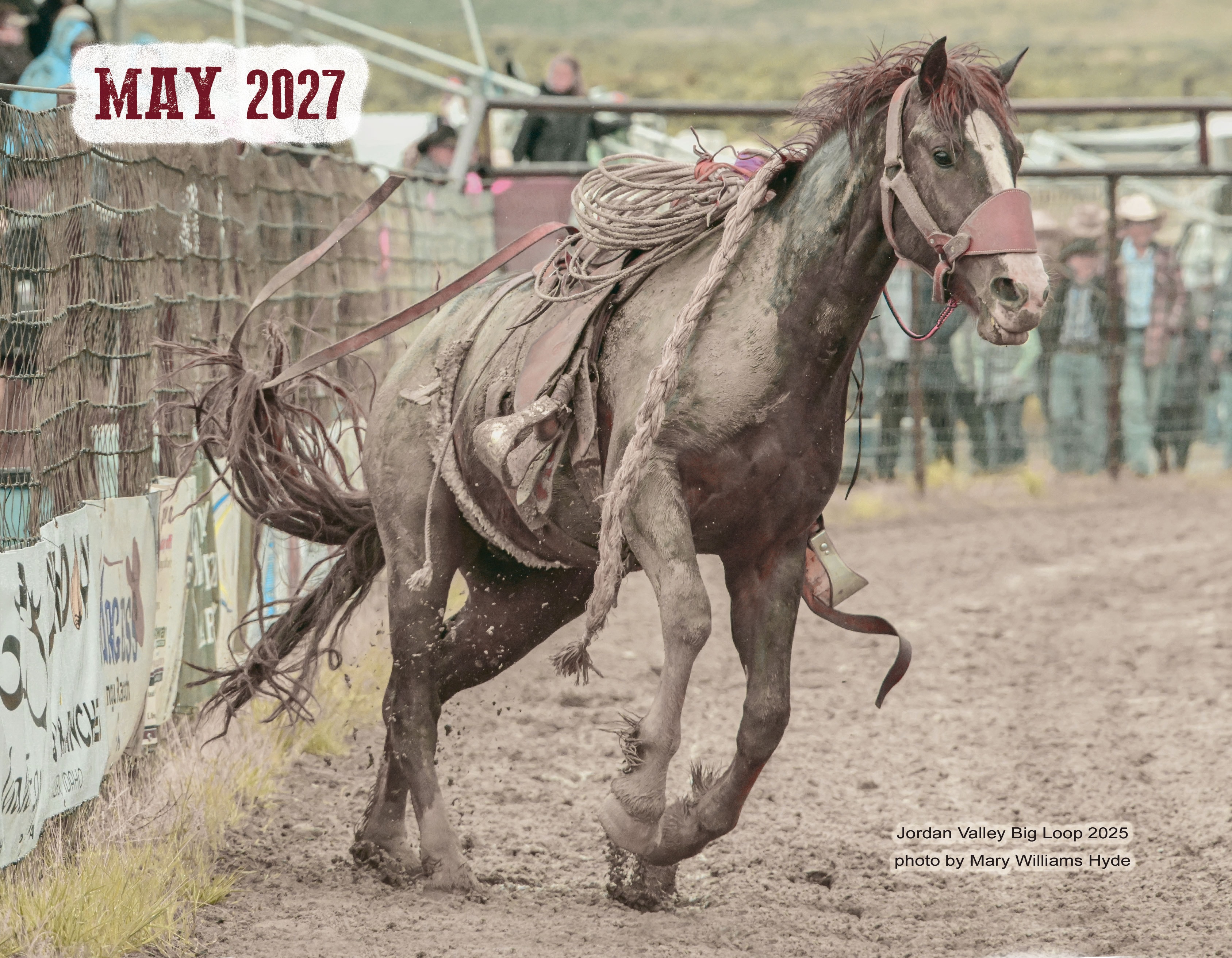 May 2027 – bucking horse running in arena, Jordan Valley Big Loop 2025, photo by Mary Williams Hyde