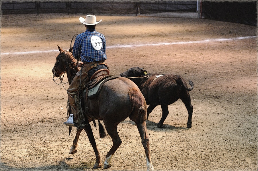 Dan Locke working cattle on horseback