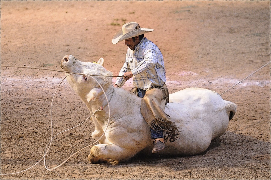 Ramon bulldogging a steer at the rodeo