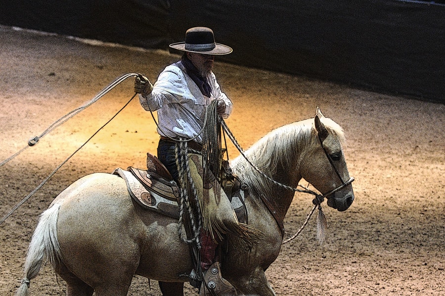 Richard on palomino horse with reata in arena