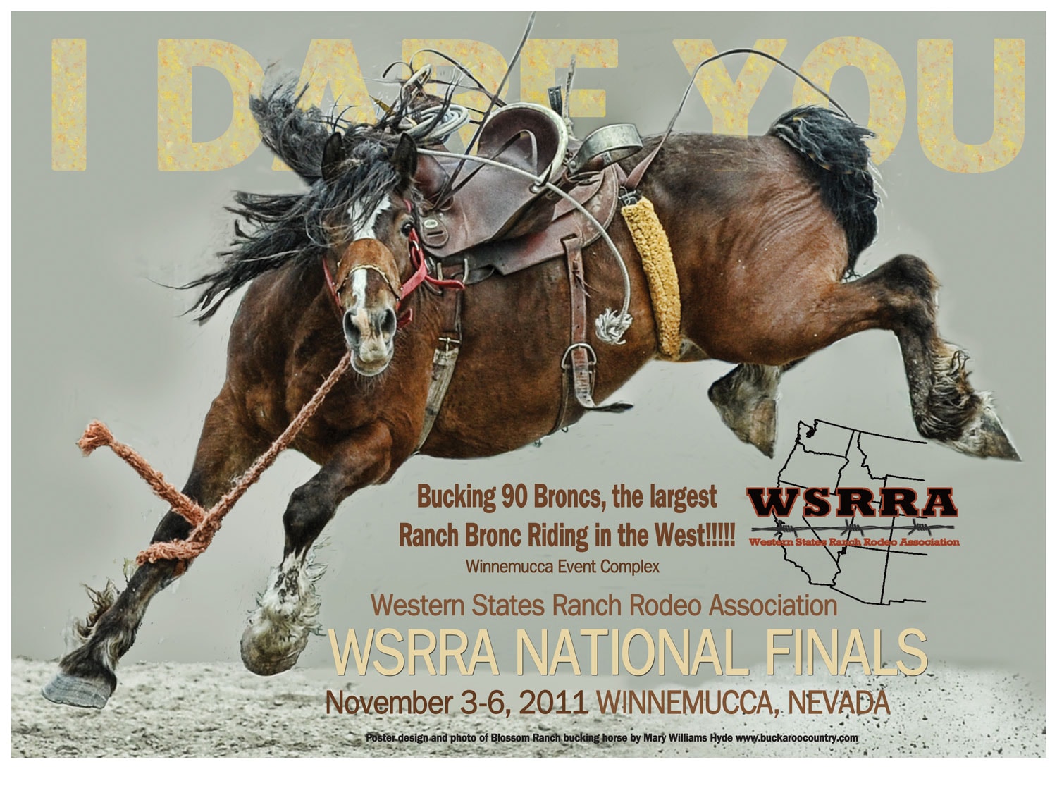 WSRRA Finals Winnemucca Nevada 2010 poster by Mary Williams Hyde